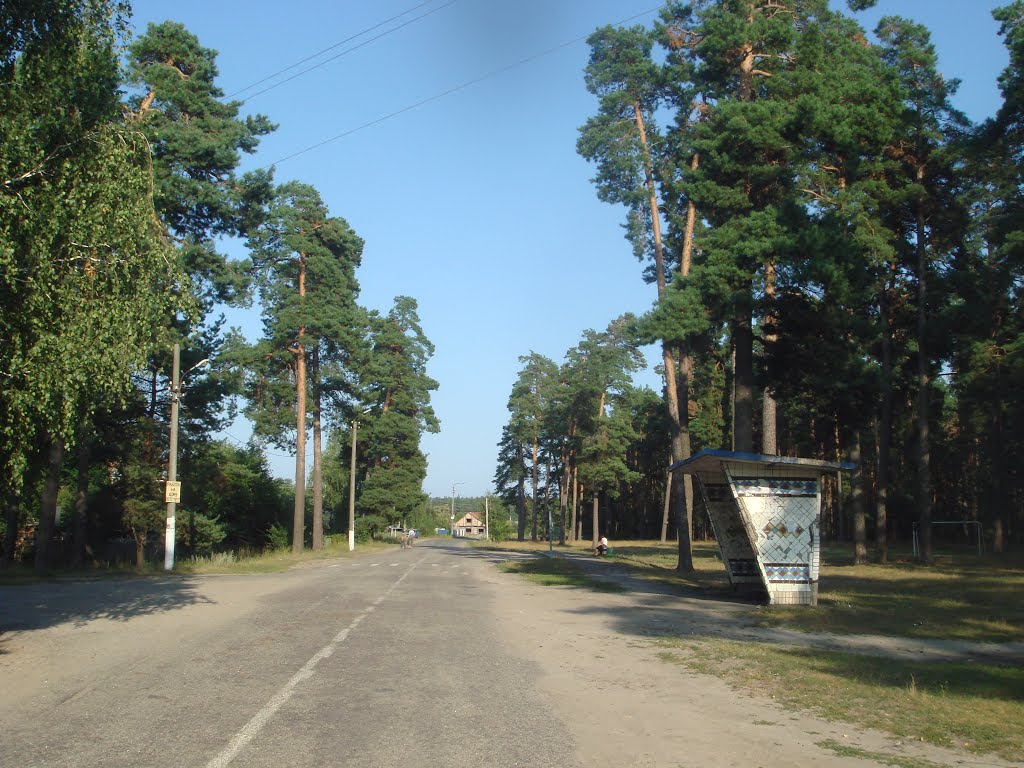 Магистральная улица