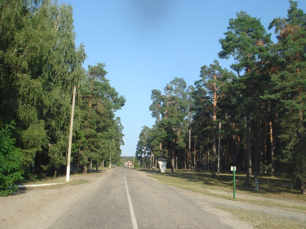 Магистральная улица