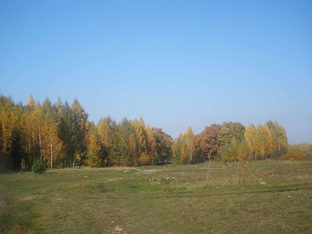 Галявина 1