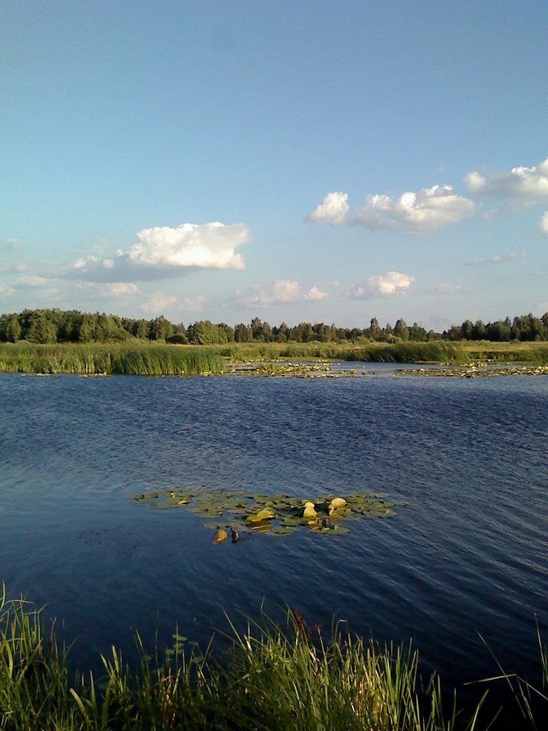 Obukhiv
