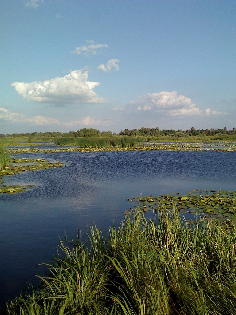Lakes just south of Kiev. Koncha Zaspa.