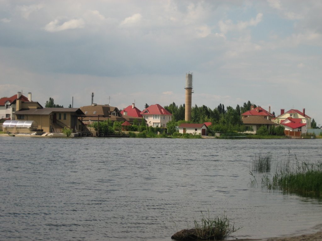 Kozin