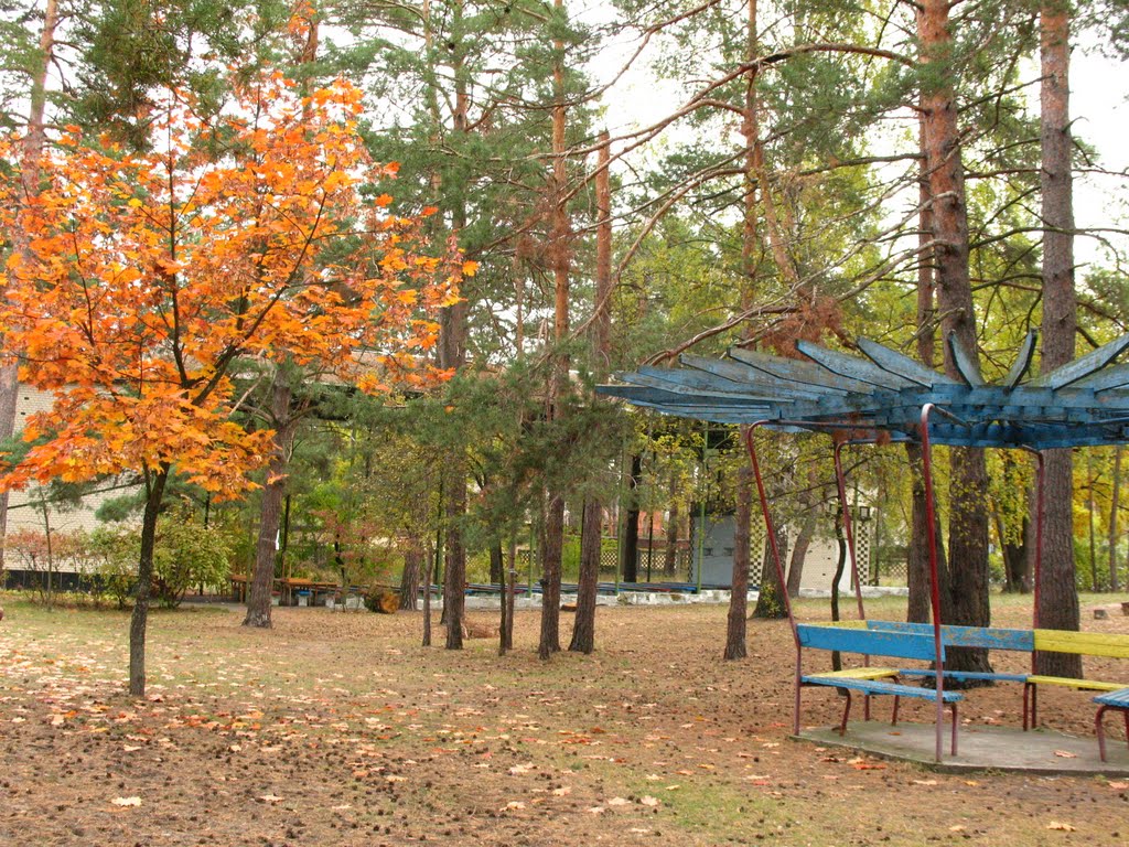 Беседка