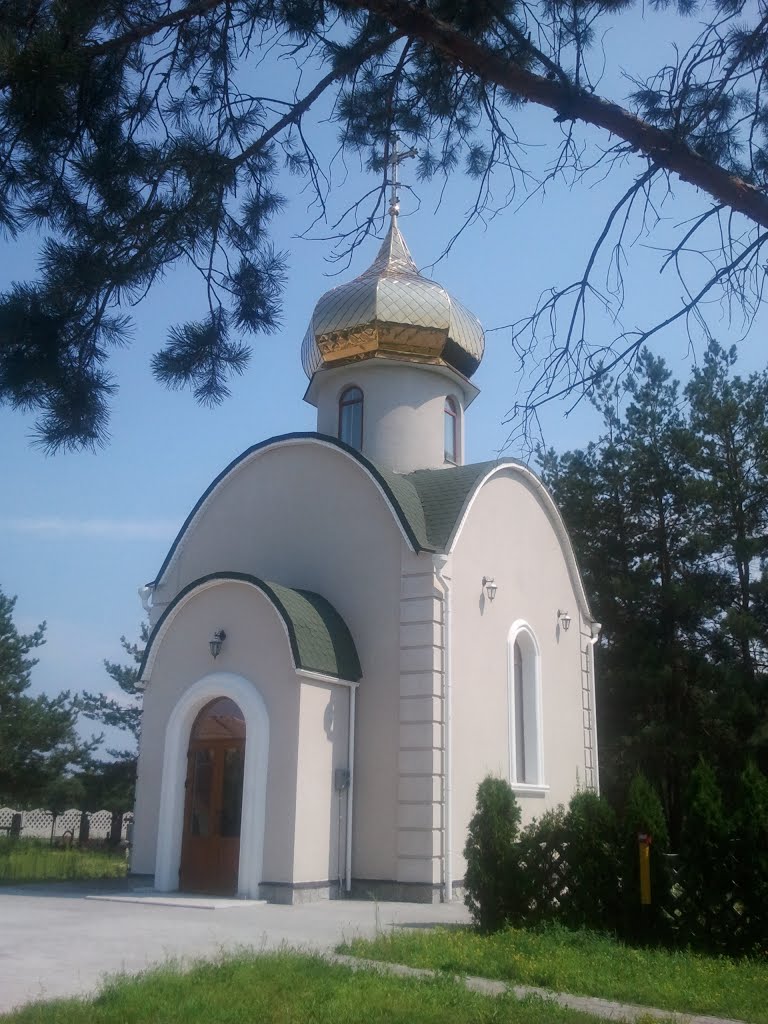 Козин, Киевская область, Украина