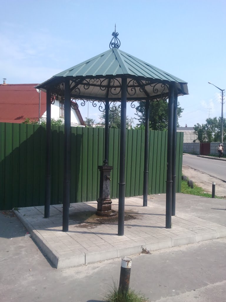 Козин, Киевская область, Украина