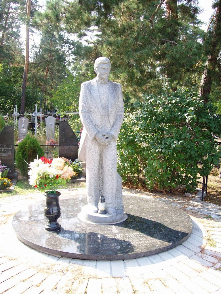 с. Козин. Памятник Герою Украины Анатолию Борисовичу Соловяненко.