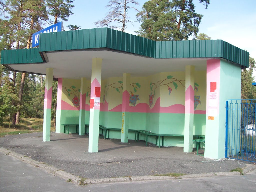 Автобусная остановка. с. Козин.