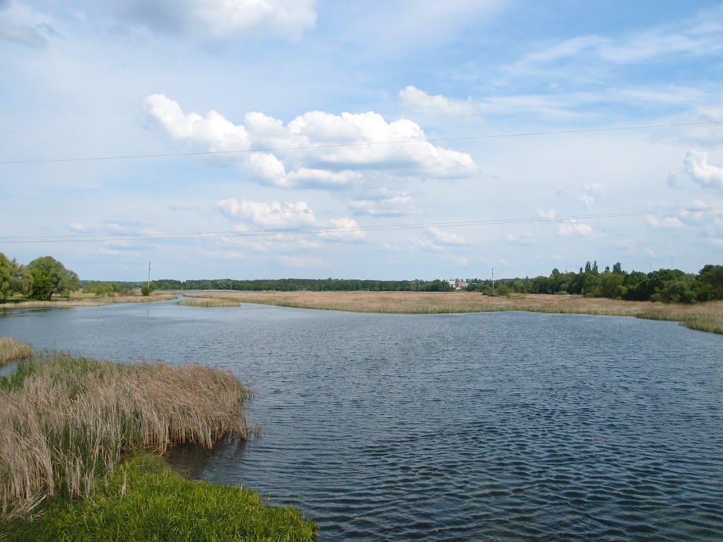 Річка Здвиж