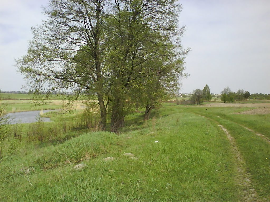 природа-4