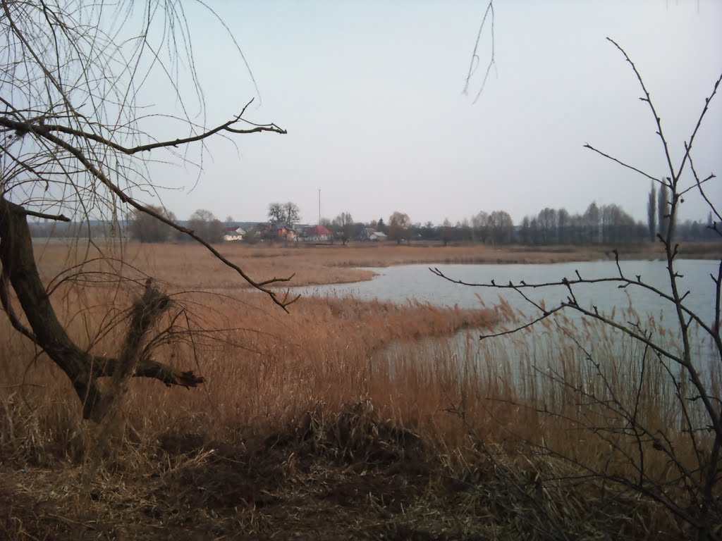 Макарів