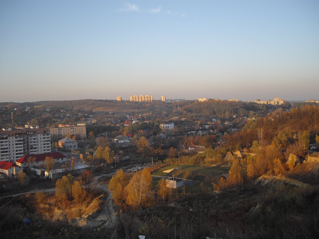Педина