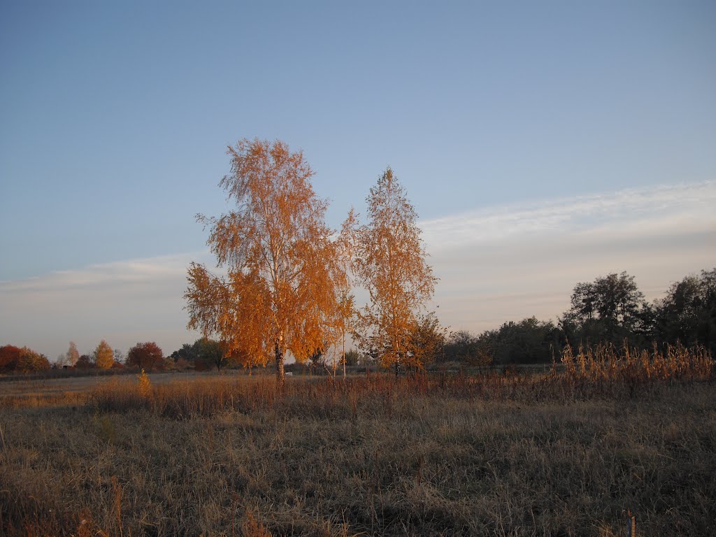 Біля Педини