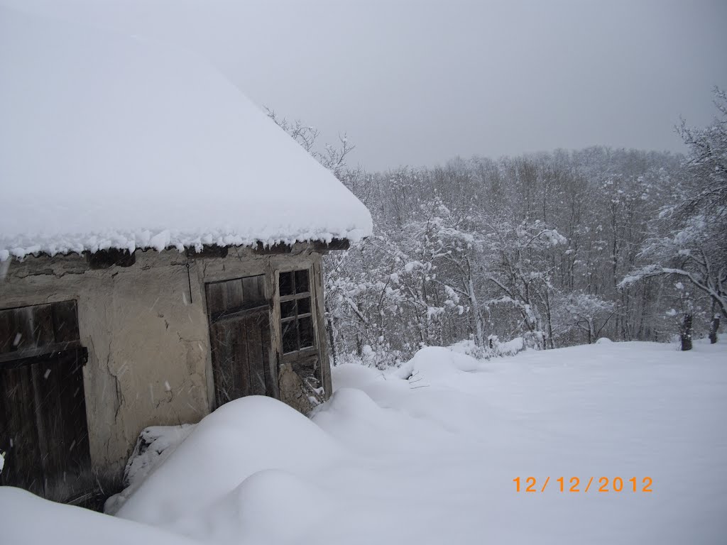 Старий сарай
