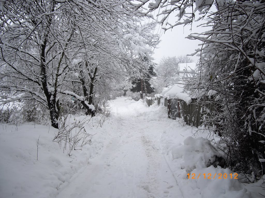 Зимова дорога
