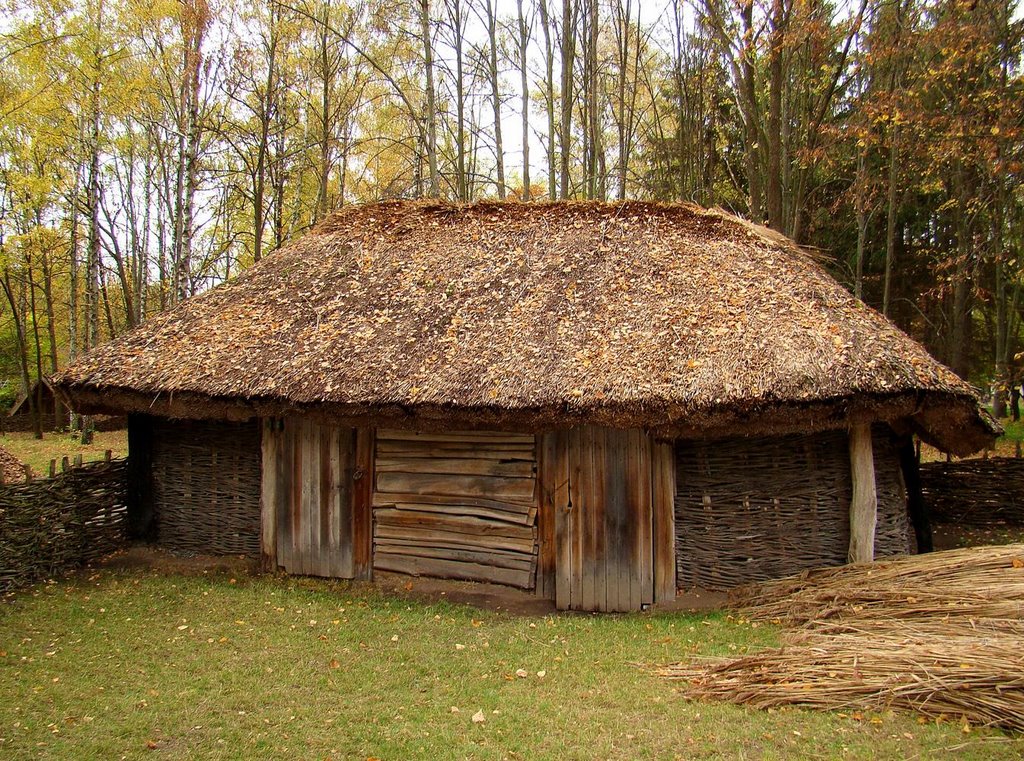 Повітка, сарай, shed