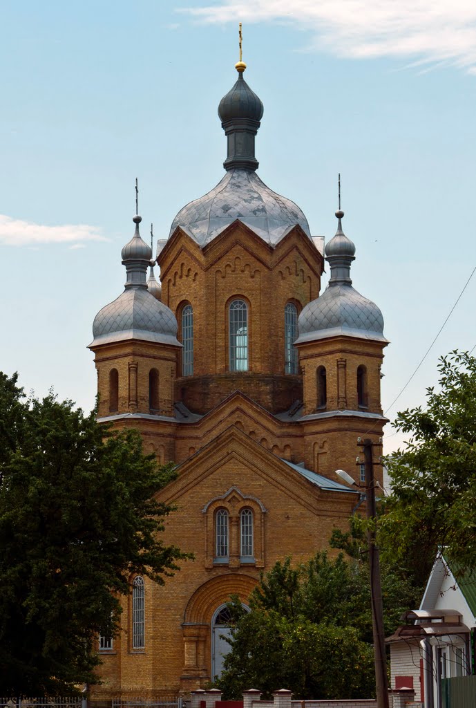Церковь Успения Пресвятой Богородицы. 1896 г