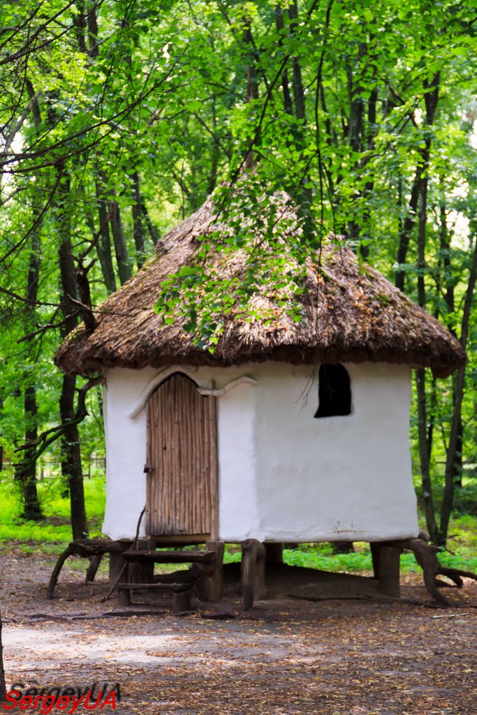 Хата знахарки