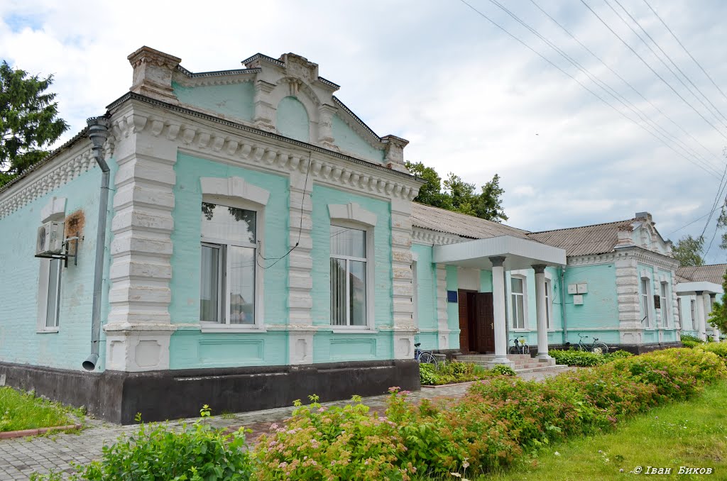 Рокитне. Училище 1880 р. / Rokitnoe. College 1880