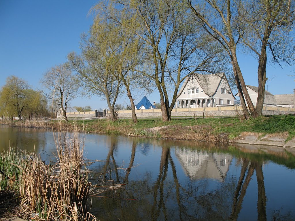 Рокитне, ставок коло базару