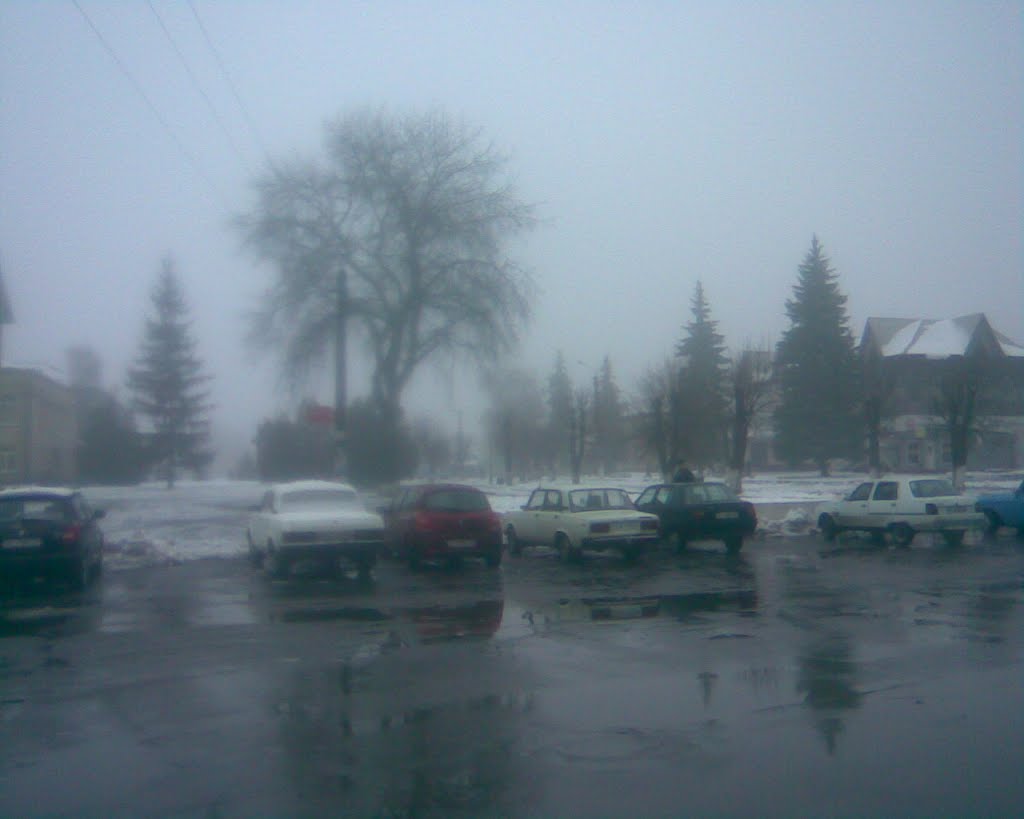 Центр Рокитного
