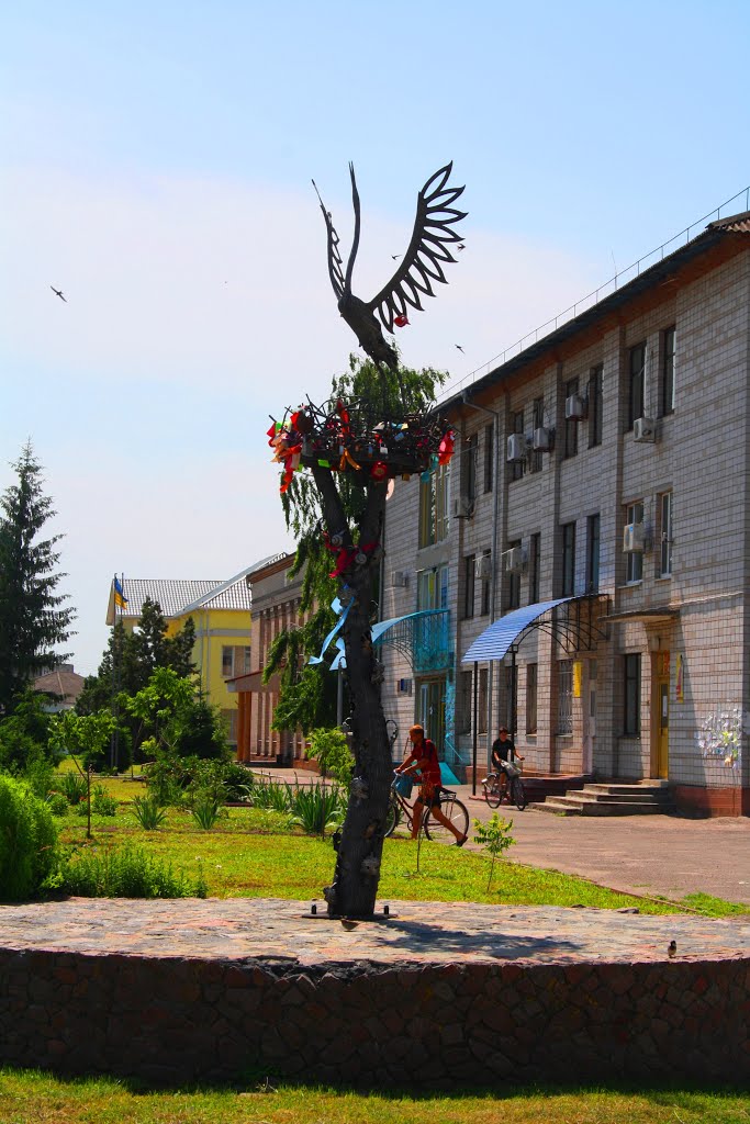 Рокитне