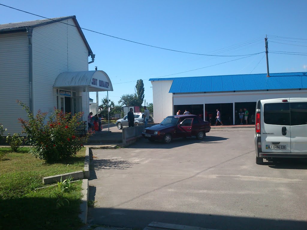 Rokytne