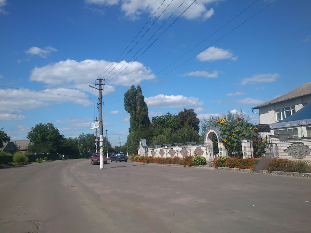 Rokytne