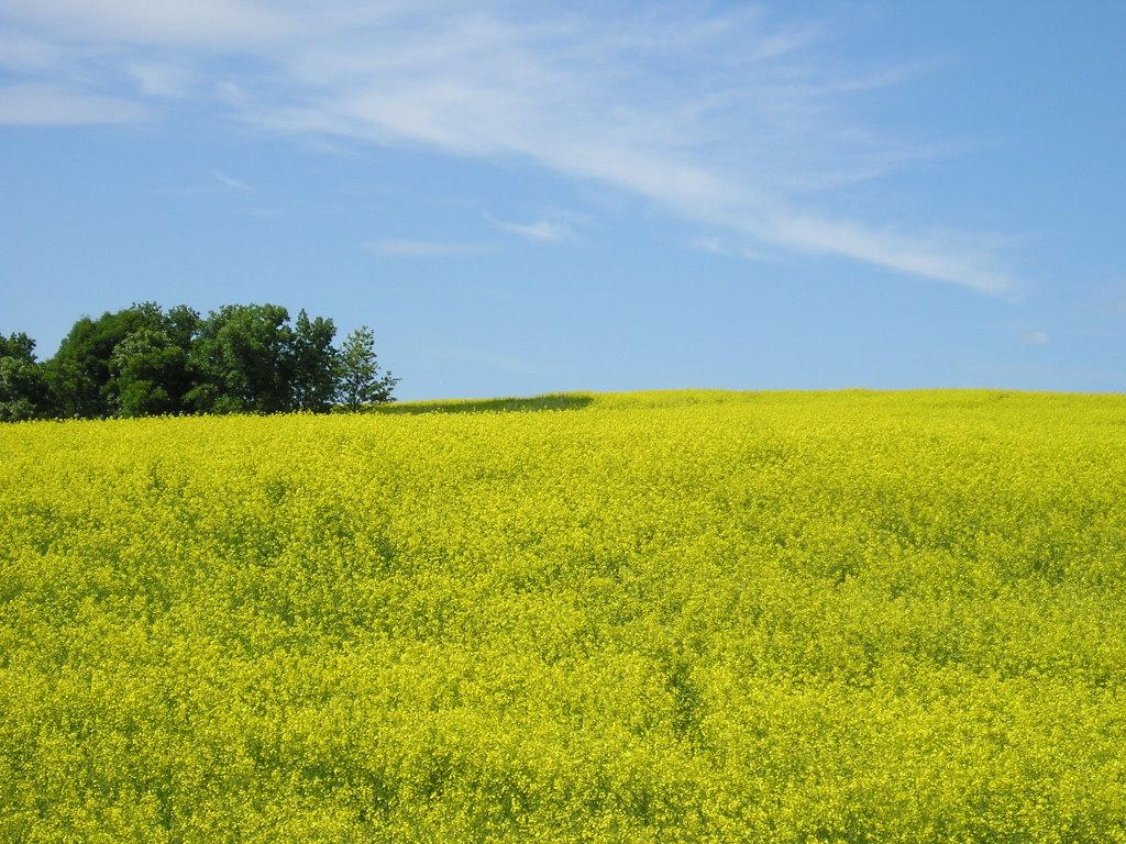view on Ukraine from S