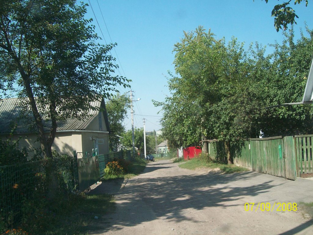 Переулок Кривоноса