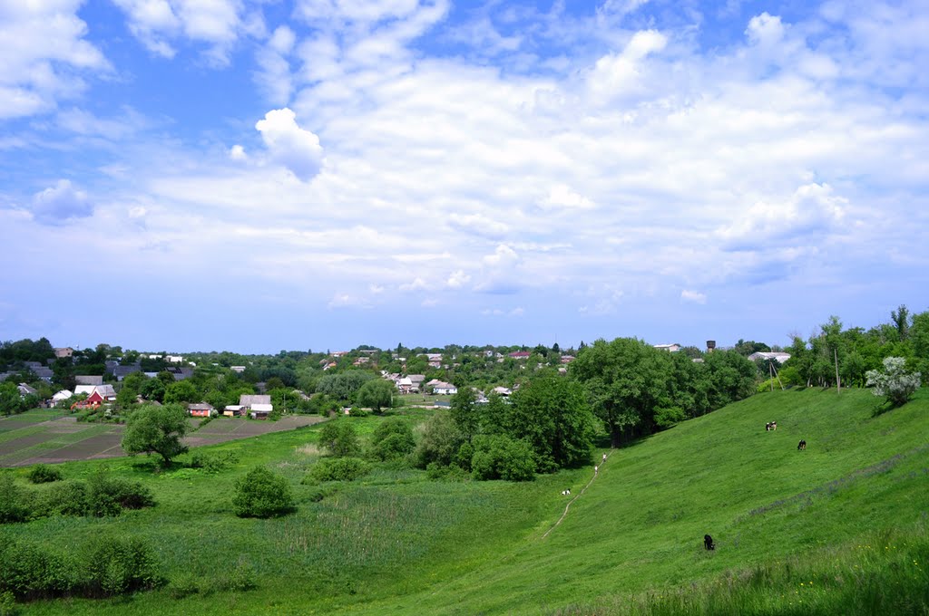 Слобода