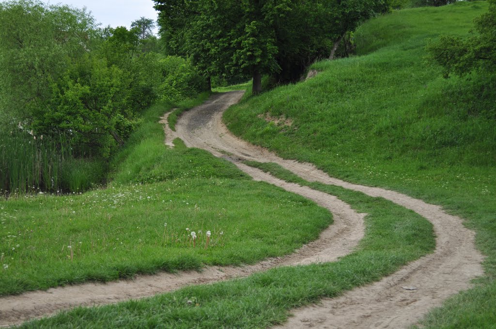 Веселая дорожка