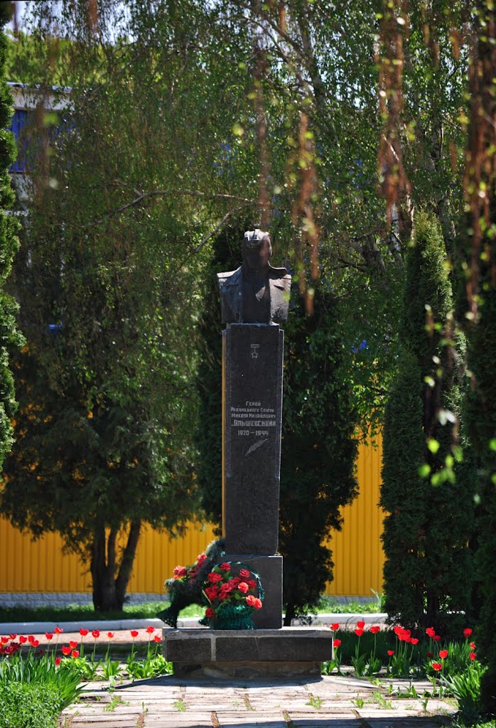 Ольшевский