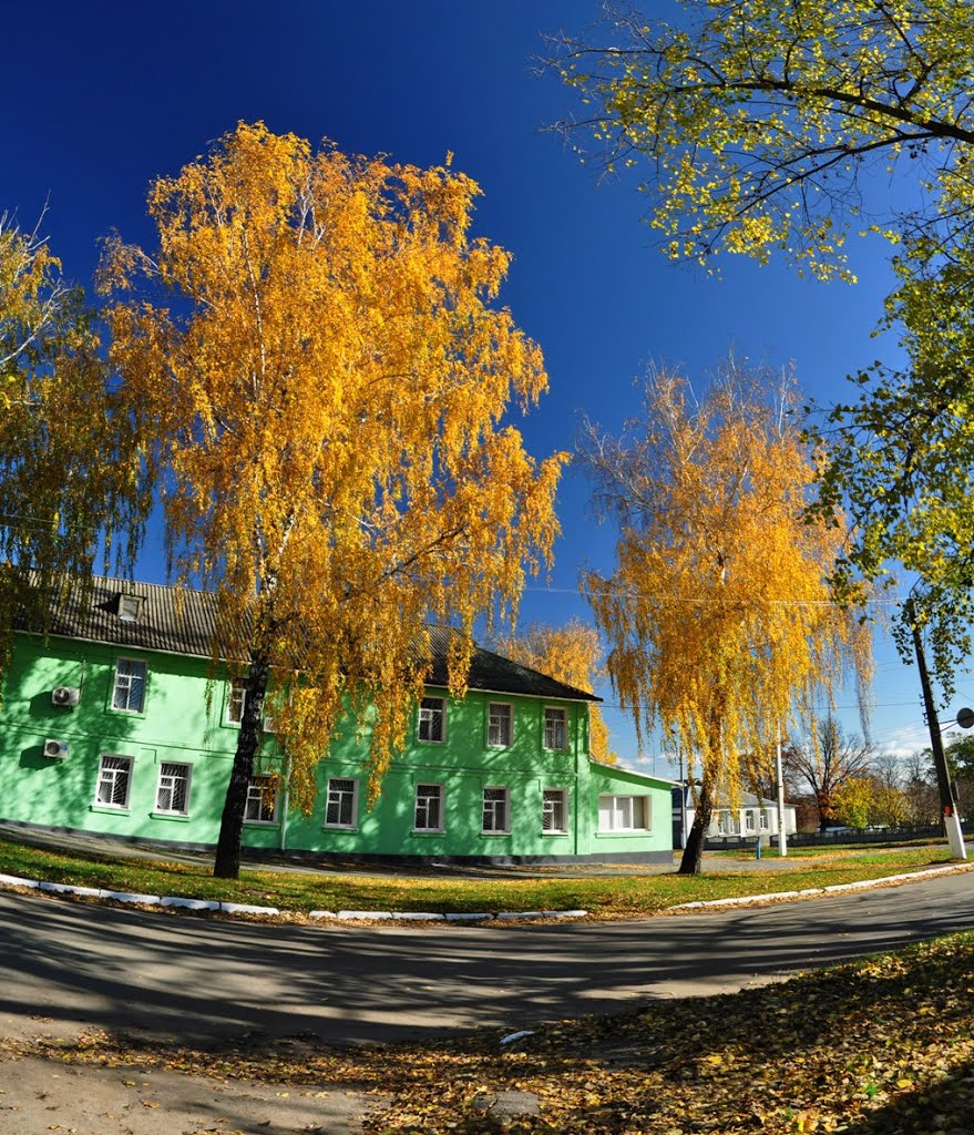 Налоговая
