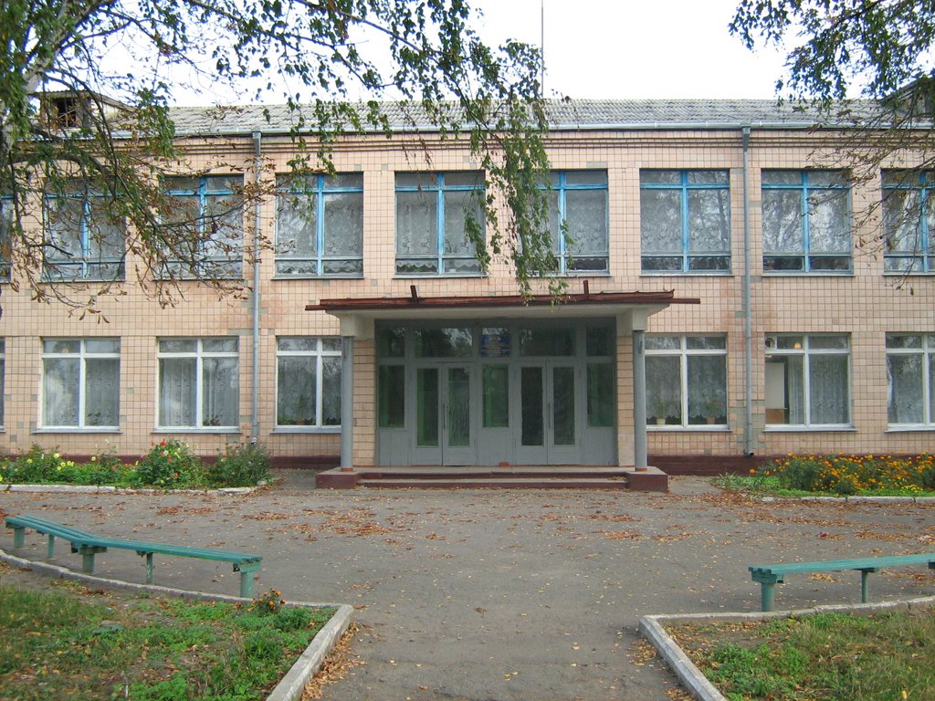 School №5
