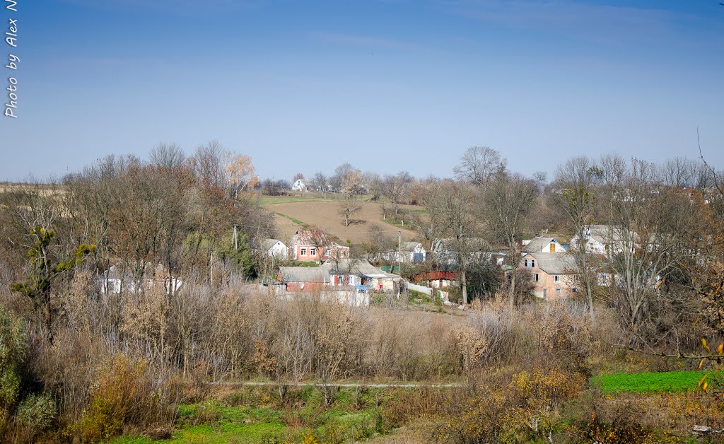 Вид на яри, Ставище / View of ravine