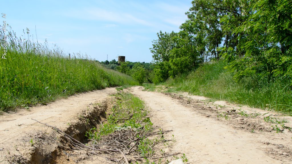польова дорога1