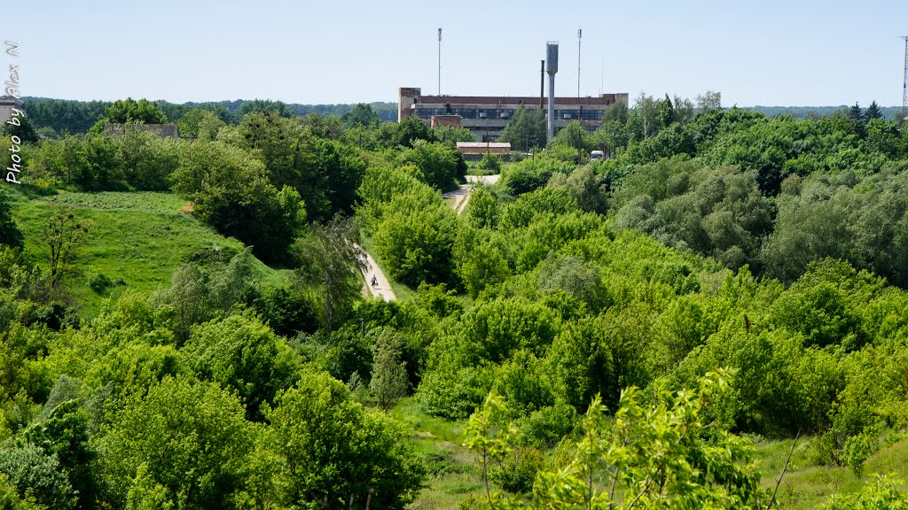 завод