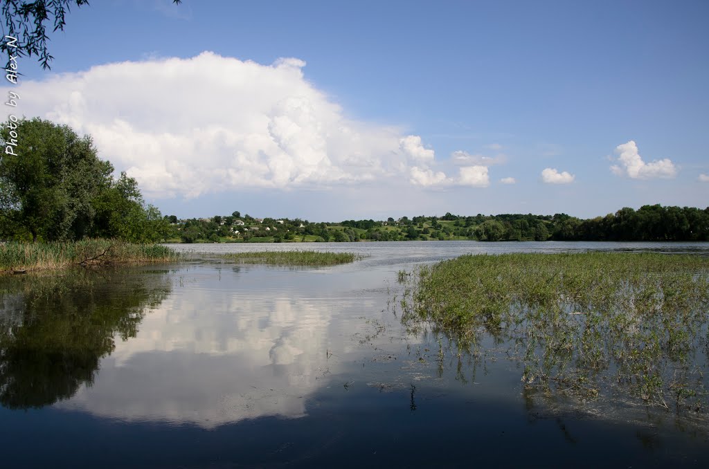 Гнилий Тікич (рибгосп)