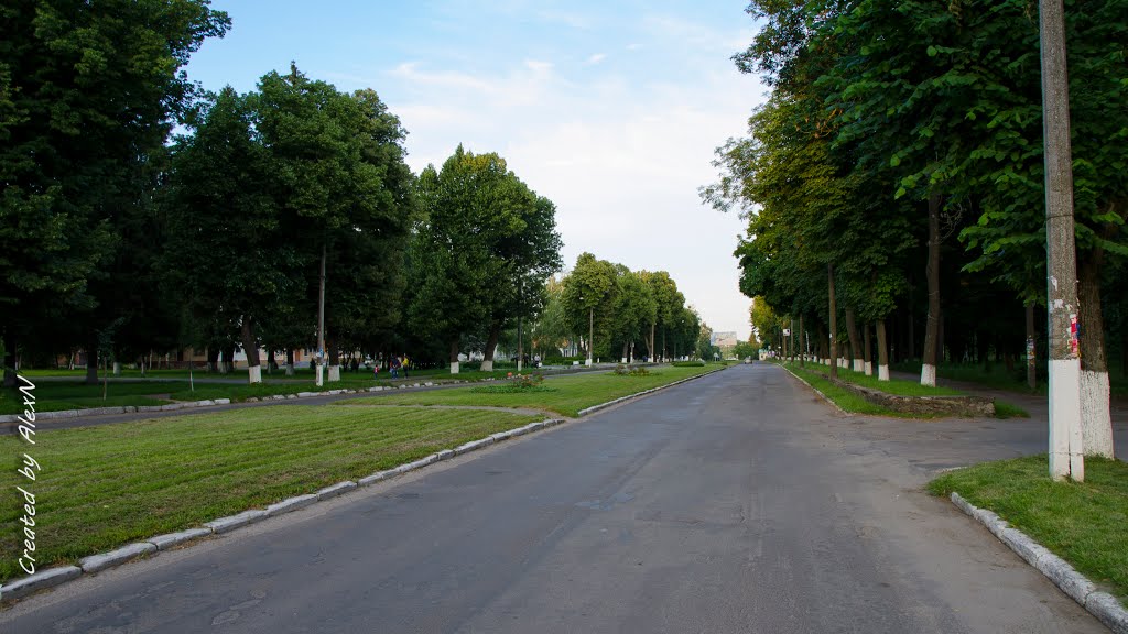 центральна вулиця / the central street
