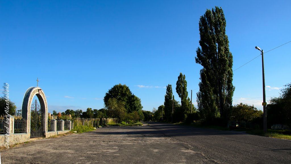 центральна вулиця с. Розкішна / The central street of Rozkishna village