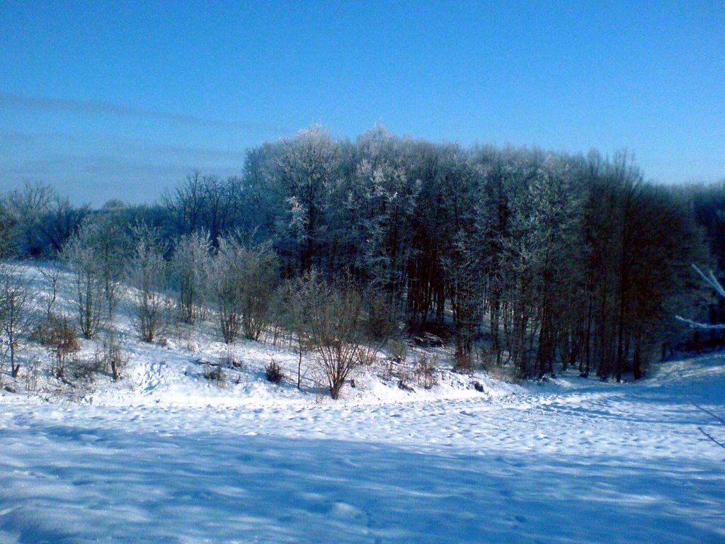 лісок