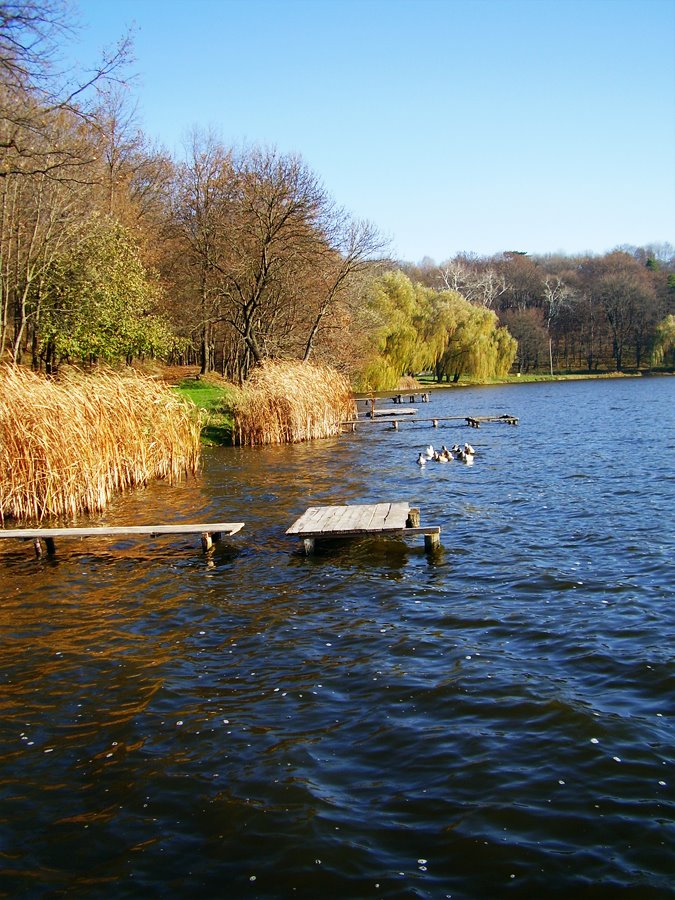 Ріка Гнилий Тікич, Stavysche