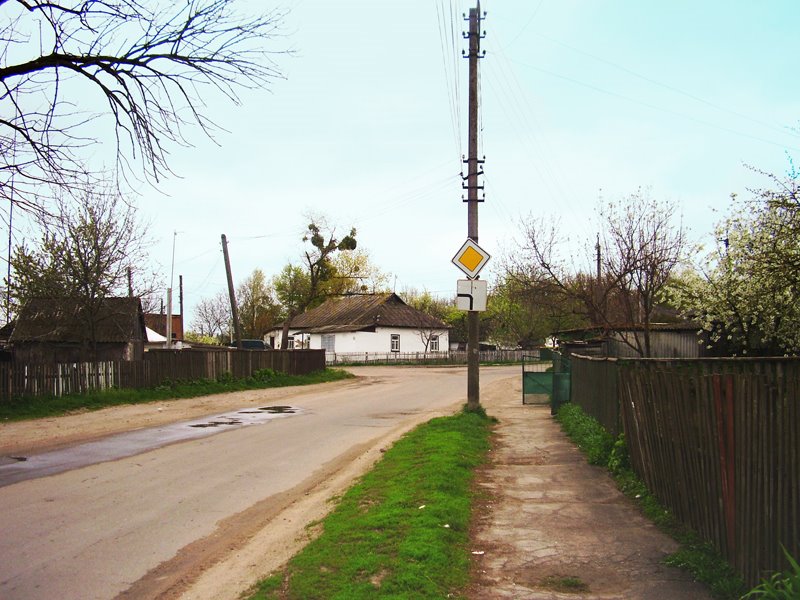 На кільцеву/To cyrcle road