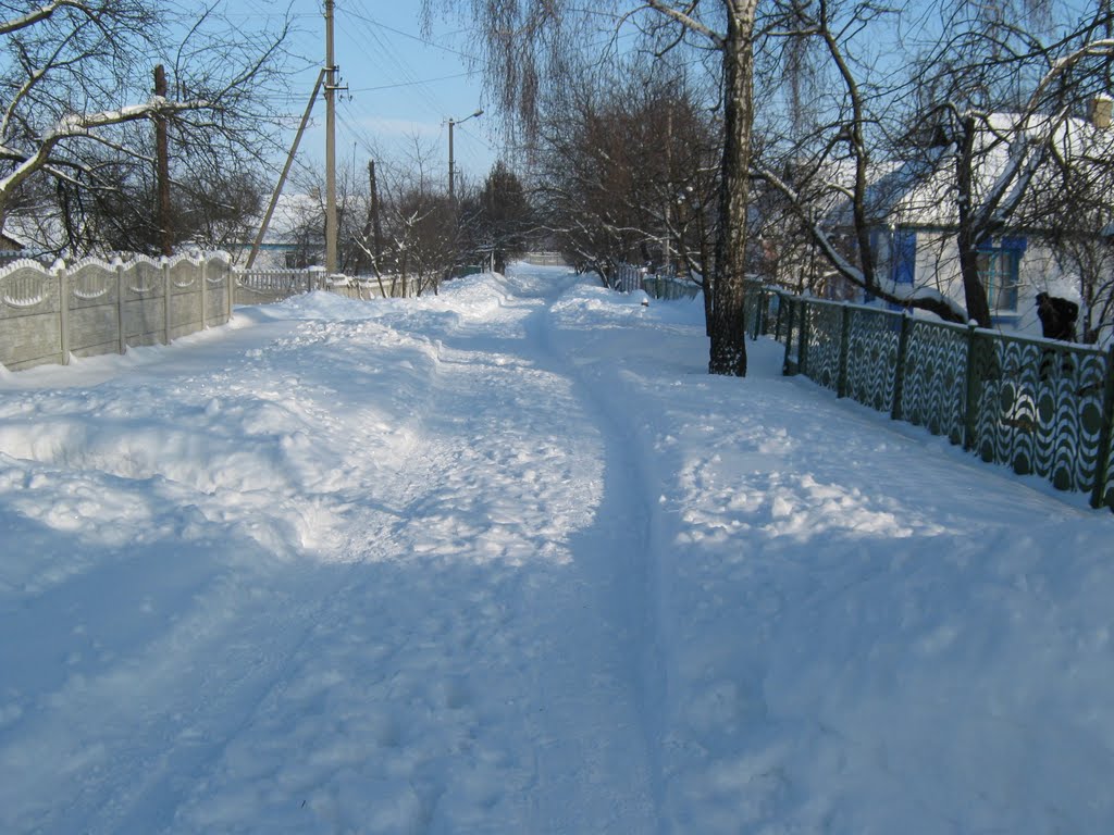 Зима 2010