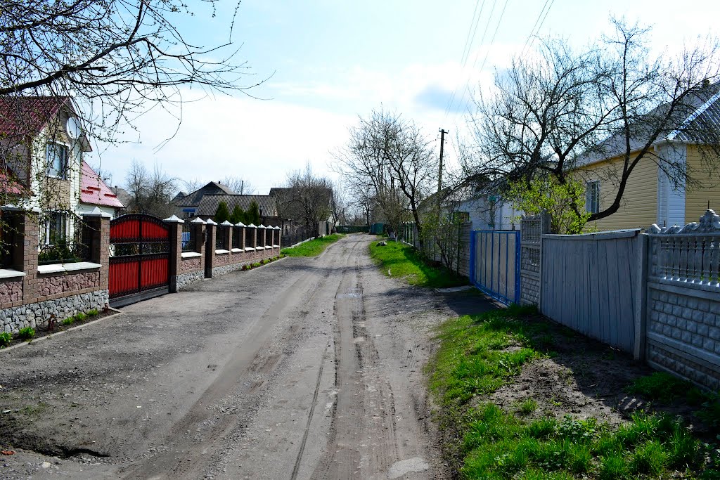 пров Садовий