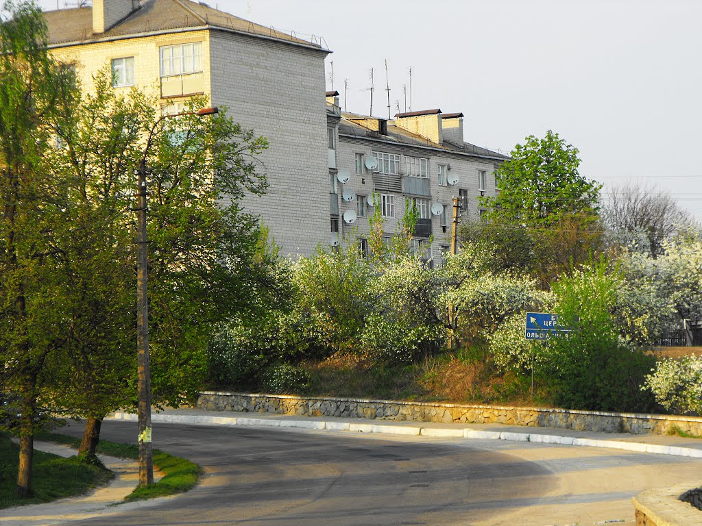 Весна 2009