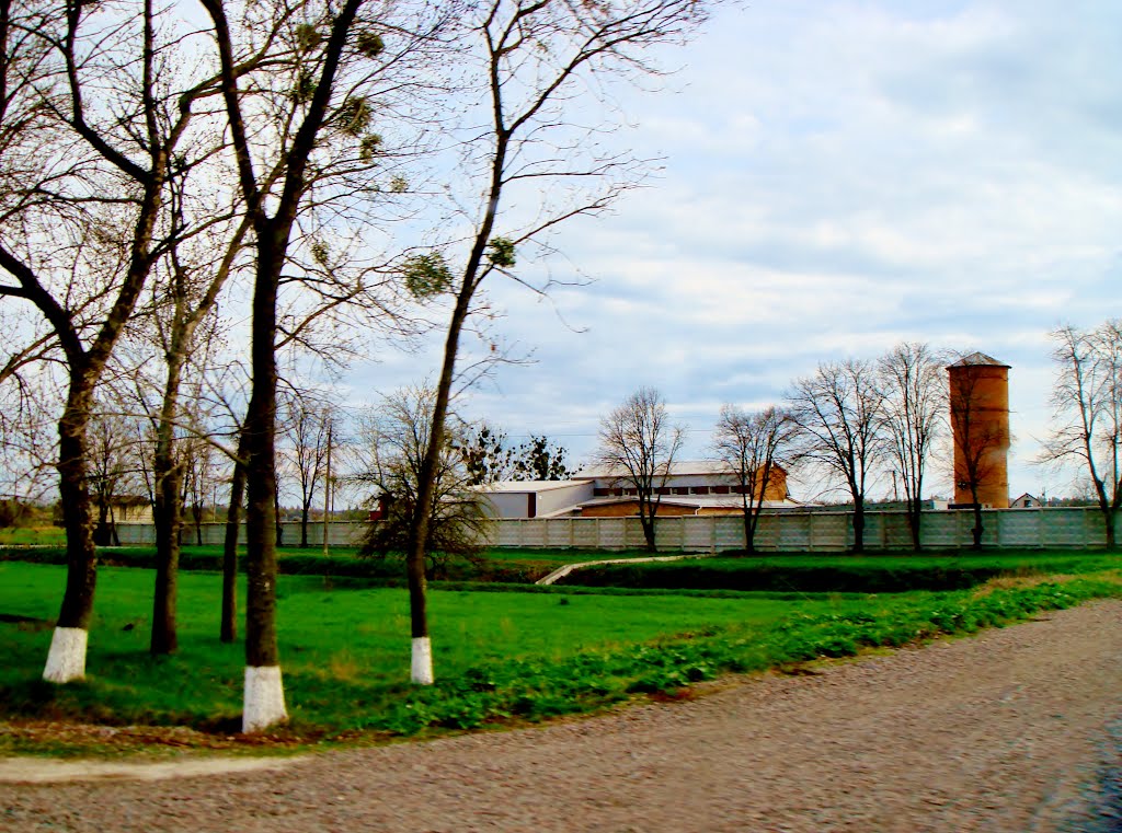 23.04.2012 17:21  Дорога Р04. Улица Белоцерковская. Производственное предприятие г.Тараща.