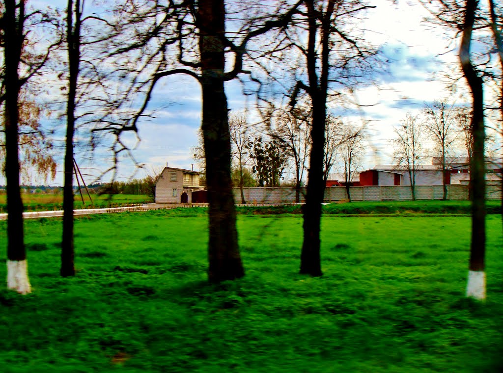 23.04.2012 17:21  Дорога Р04. Улица Белоцерковская. Территория предприятия в г.Тараща.