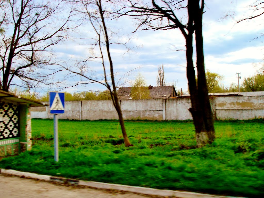 23.04.2012 17:22  Дорога Р04. Улица Белоцерковская. Пешеходный переход возле остановки общественного транспорта.