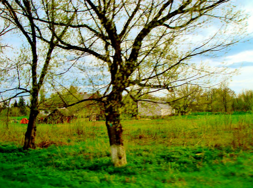 23.04.2012 17:22  Дорога Р04. Улица Белоцерковская. Приусадебные участки в черте города Тараща.